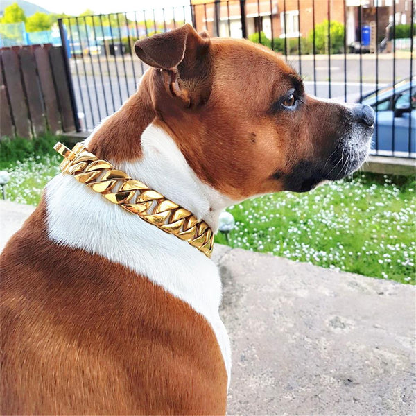 MY DOG CHAIN 18K Gold Color Heavy Cuban Link Classic Shrapnel Buckle 32mm Width Dog Chain Collar