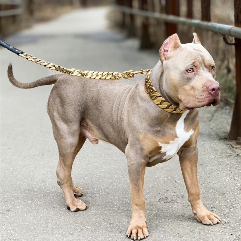 MY DOG CHAIN 18K Gold Color Heavy Cuban Link Classic Shrapnel Buckle 32mm Width Dog Chain Collar