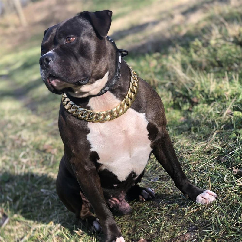 MY DOG CHAIN 18K Gold Color Heavy Cuban Link Classic Shrapnel Buckle 32mm Width Dog Chain Collar