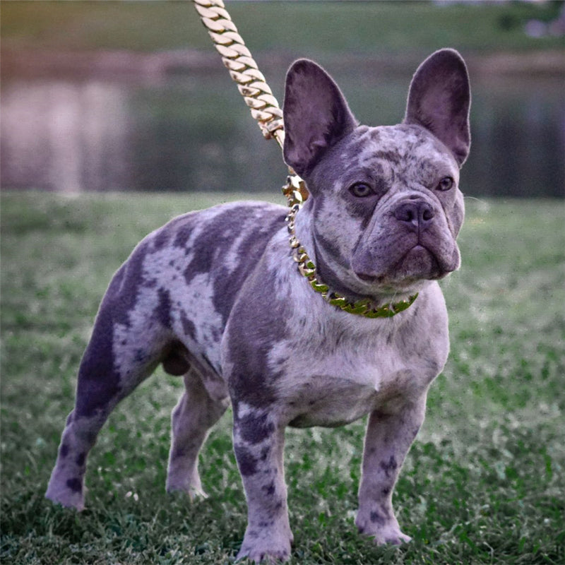 MY DOG CHAIN 18K Gold Plated Smooth Polished Heavy Cuban Link Carabiner Buckle 32mm Width Big Dog Leash